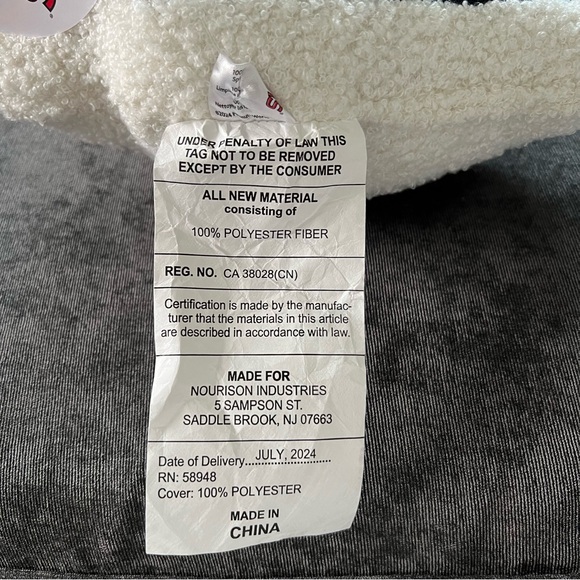 NWT Snoopy Christmas Throw Pillow - Picture 3 of 6